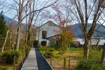 Gallery image