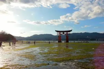 Miyajima in Photos