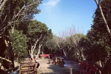 An area where couples can hang out! (Photo: pema yangchen)