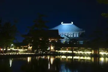 Summertime illumination at Todaiji (Photo: Manish)