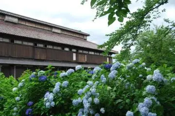 Matsugaoka