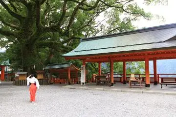 Hiking on the Kumano Kodo