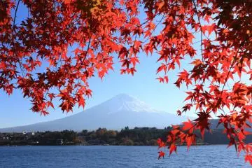 A view of Mount Fuji (Photo: <a href="https://www.flickr.com/photos/skyseeker/11061598174/" target="_blank" rel="noreferrer noopener nofollow">Skyseeker</a>)