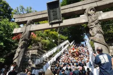Gallery image