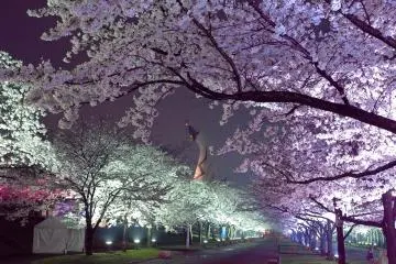 Osaka Expo Commemoration Park