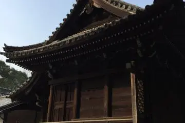 The Truth About Abenoseimei