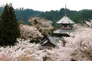 Since ancient times pilgrims to taken the ascent for enlightenment  (Photo: <a href="https://www.flickr.com/photos/kimon/6988352348/in/photolist-bDx8FA-bDxe7o-e4Gipf-4FJFbW-86aMLL-a9gyi1-bDxbu1-6a5FiD-mZHQw8-ry1YWu-mW5qB8-r7cHzE-s4d57c-s4b1dp-rLBXJE-s44Swb-qDiRNo-rJT7xx-e5rdE9-rJTjDM-s4bcFz-s1ULxS-s1T2yC-9sWQwz-e4Girb-FhJXdX-s1SScm-r7pYxR-rV1nfx-9BT9VP-r7d6qJ-mZHKte-s4dm1g-riJ9V7-nhTLiK-r7psRX-rJRiVX-rjdpzu-s438CY-Fjmxz-qDiYXo-rLCpc5-rJT4KZ-bKJ1A8-mZKB1N-rJTgqx-TH6yJL-qcfL3N-mZKyPU-4FEuFK" target="_blank" rel="noreferrer noopener nofollow">Kimon Berlin</a> / <a href="https://creativecommons.org/licenses/by-sa/2.0/" target="_blank" rel="noreferrer noopener nofollow">CC BY-SA 2.0</a>)