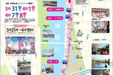 เทศกาลดอกซากุระ Bokutei Sakura-matsuri 2027
