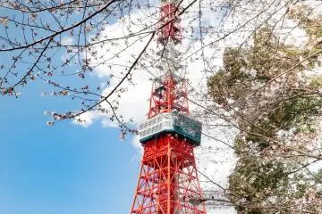 Top 5 Things to Do in Shiba