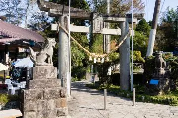 Gallery image