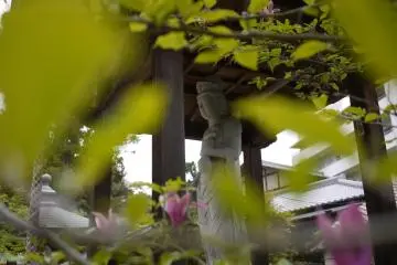 Looking through the magnolia tree at one of the many statues (Photo: <a href="http://www.gethiroshima.com" target="_blank" rel="noreferrer noopener nofollow">GetHiroshima</a>)