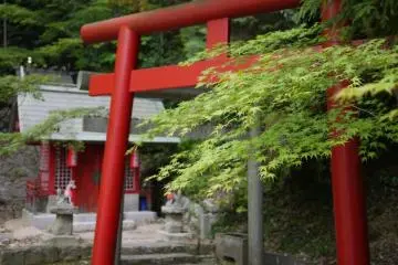 Red tori gate looks beautiful next to the lush, green momiji trees. (Photo: <a href="http://www.gethiroshima.com" target="_blank" rel="noreferrer noopener nofollow">GetHiroshima</a>)
