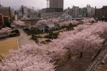 Kofu