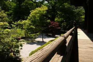 A quiet moment overlooking the main hall's gardens