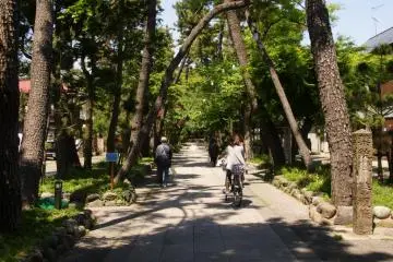 The road leading to the main entrance to the temple grounds