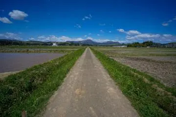 How about cycling through rice fields? (Photo: Sendai Royal Park Hotel)