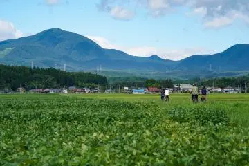 Farm country just minutes away from the hotel (Photo: Sendai Royal Park Hotel)