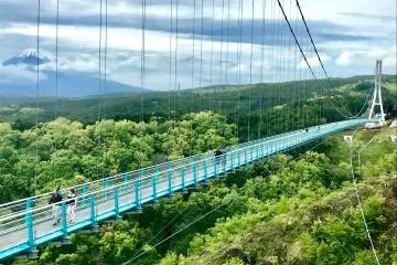 Mishima: Water, History & Mt. Fuji