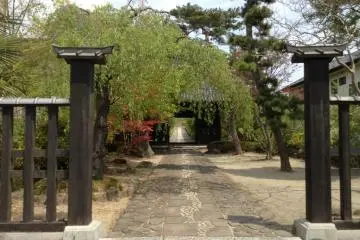 Gallery image