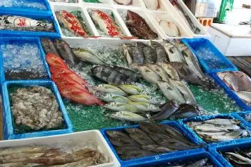 Photo: <a href="https://en.japantravel.com/profile/ahammad-reyad/428945343" target="_blank" rel="noreferrer noopener nofollow">Ahammad Reyad</a> / JT