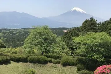 Hiking the Old Hakone Highway