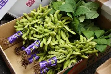 Edamame anyone?