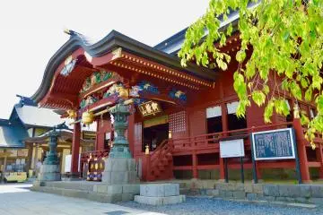 Gallery image
