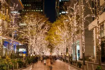Marunouchi Nakadori Street