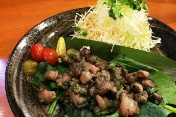 Flame grilled Kawachi duck, Matsubara city's speciality (Photo: Naniwa Tomoare)