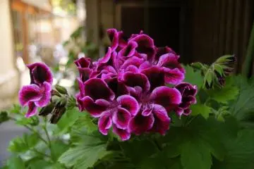 A pop of color catches my eye