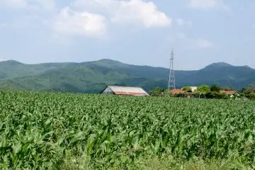 Getting Lost in the Countryside