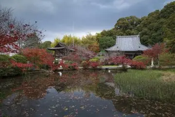 Tenri