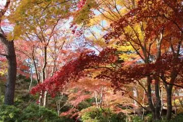 Natures strikes its paintbrush with profound beauty (Photo: Erik O'Brien)