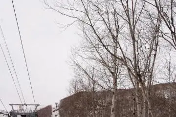 Spring in Niseko