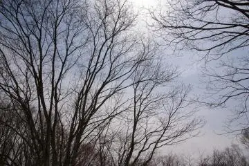 Warm spring sun warms up Niseko