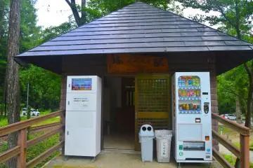 Gallery image