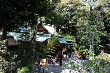 Gallery image