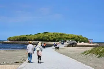 Aoshima Rocks