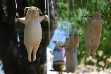 The animals from "Circus" by Tomio Okayama are suspended in trees at the park (Photo: Kim B)