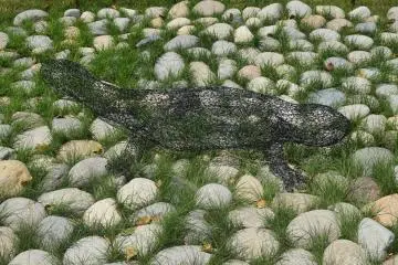 "Andrias Japonicus" by Hironori Hashi (Photo: Kim B)
