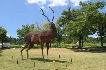 Some of the installations are impressively large (Photo: Kim B)