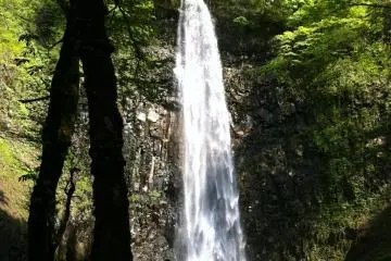 Tamasudare Fall