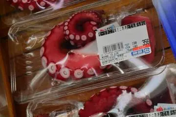 Octopus pieces