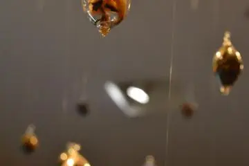 Hanging man-made cocoons.