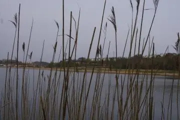 The marsh lands around Kushiro