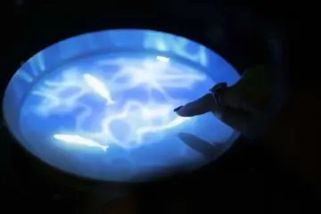 Interacting with fish projections in water (Photo: Tree by Naked)