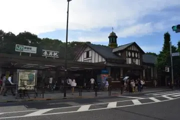 The Frenetic Harajuku Station 