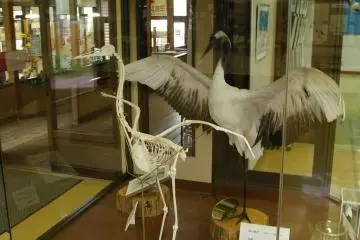 A center for study