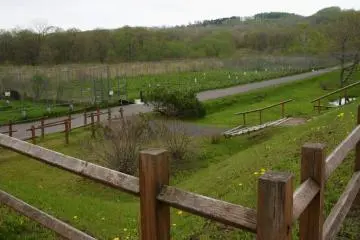 The expansive grounds of the reserve