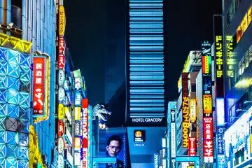 Why Would You Want To Visit Japan?